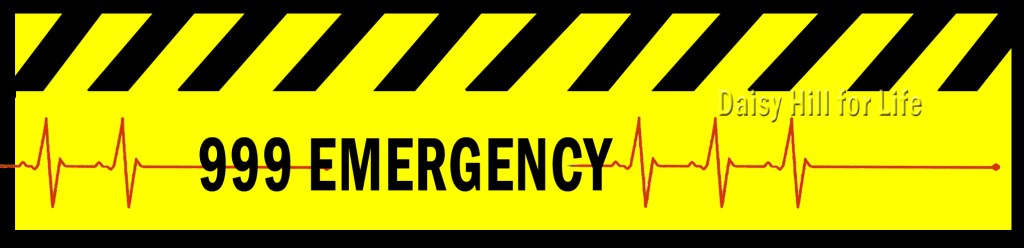 Daisy Hill Emergency Department served 53555+ people in 2016 - banner