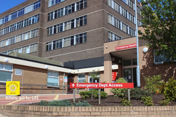 Just as in the Western Trust (with a total population of 301,448*) there is need for TWO Specialist Acute Stroke Units - so too, the Southern Trust (with a larger population of 380,312*) is also entitled to TWO Specialist Stroke Units (HASUs and Acute Stroke Units), at Daisy Hill Hospital, Newry and Craigavon Hospital. This would ensure that everyone in the Southern Trust has immediate access to CT scanning and life saving thrombolysis, followed by direct access into a stroke unit.